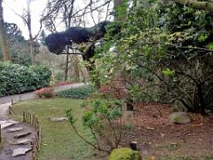 149 PARC ORIENTAL DE MAULEVIER MAINE ET LOIRE 2016 N1_000031